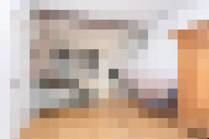Nagelbeek 24 Schinnen thumbnail 17