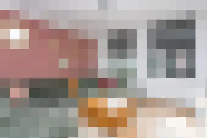 Nagelbeek 24 Schinnen thumbnail 18
