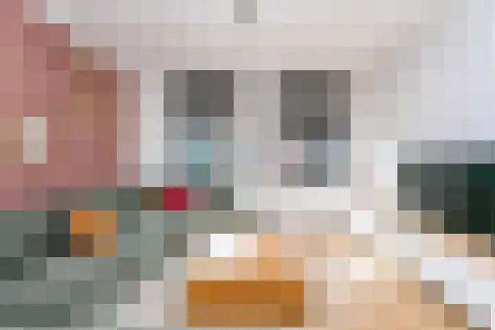 Nagelbeek 24 Schinnen thumbnail 19