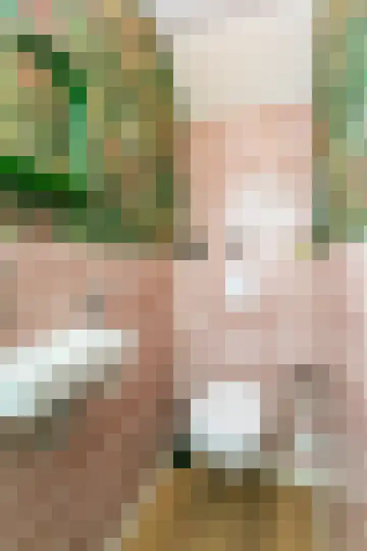 Nagelbeek 24 Schinnen thumbnail 25
