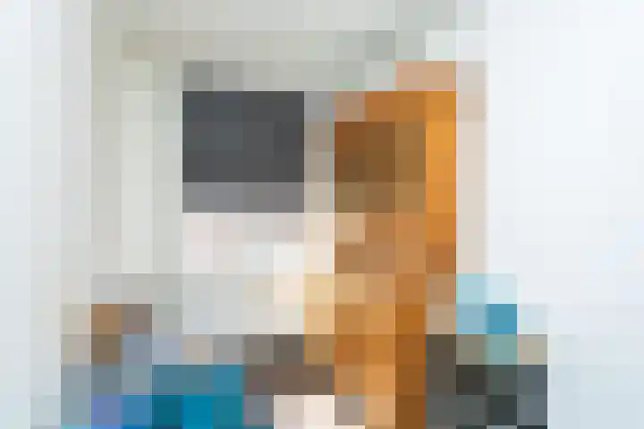 Nagelbeek 24 Schinnen thumbnail 29