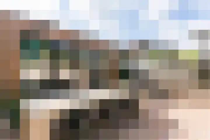 Nagelbeek 24 Schinnen thumbnail 39