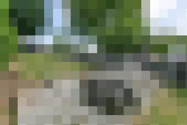 Nagelbeek 24 Schinnen thumbnail 4