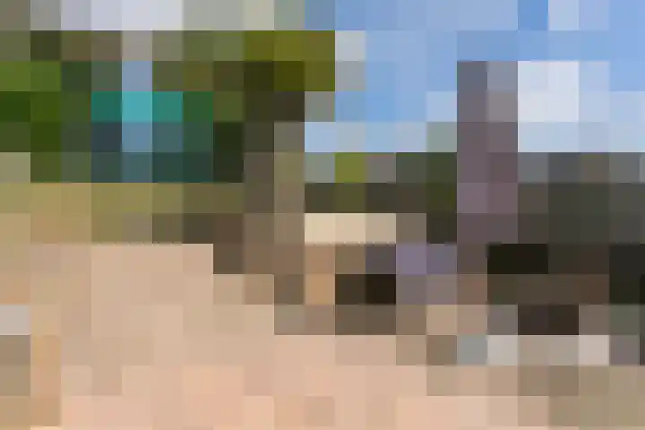 Nagelbeek 24 Schinnen thumbnail 40