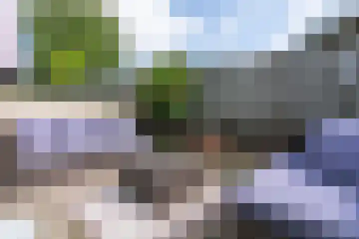 Nagelbeek 24 Schinnen thumbnail 42