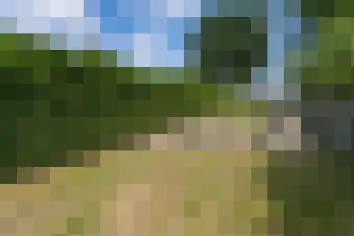 Nagelbeek 24 Schinnen thumbnail 44
