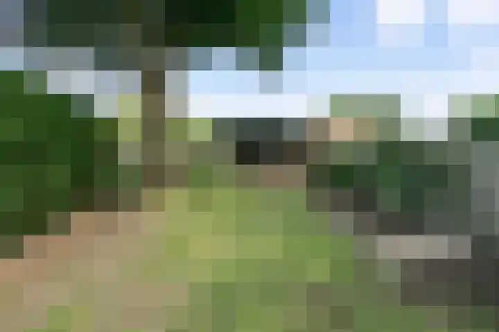 Nagelbeek 24 Schinnen thumbnail 46