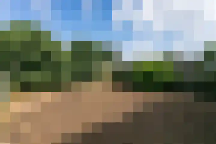 Nagelbeek 24 Schinnen thumbnail 48