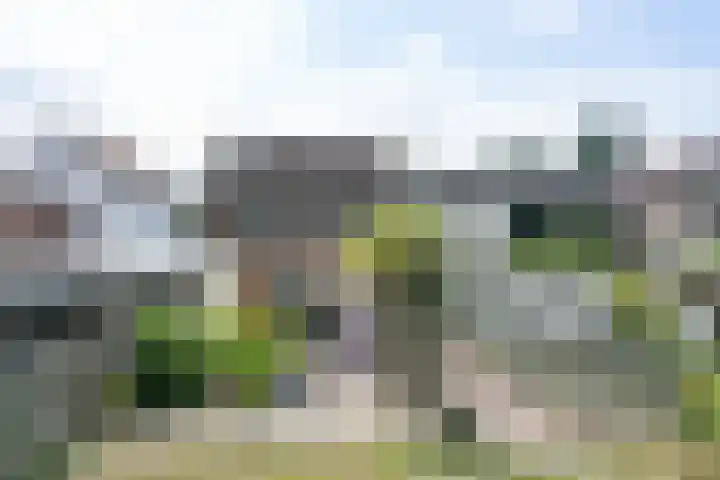 Nagelbeek 24 Schinnen thumbnail 49