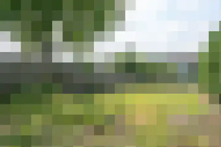 Nagelbeek 24 Schinnen thumbnail 50