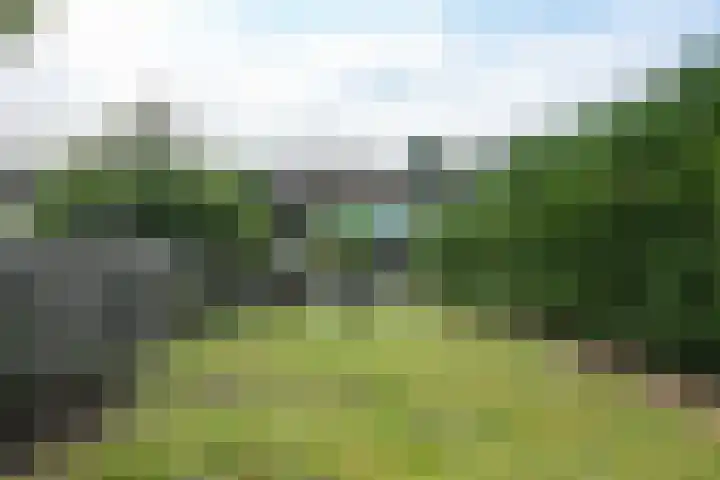 Nagelbeek 24 Schinnen thumbnail 51
