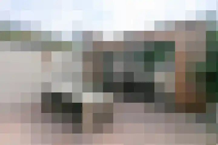 Nagelbeek 24 Schinnen thumbnail 53