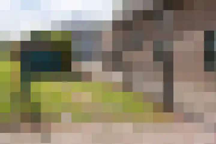 Nagelbeek 24 Schinnen thumbnail 54