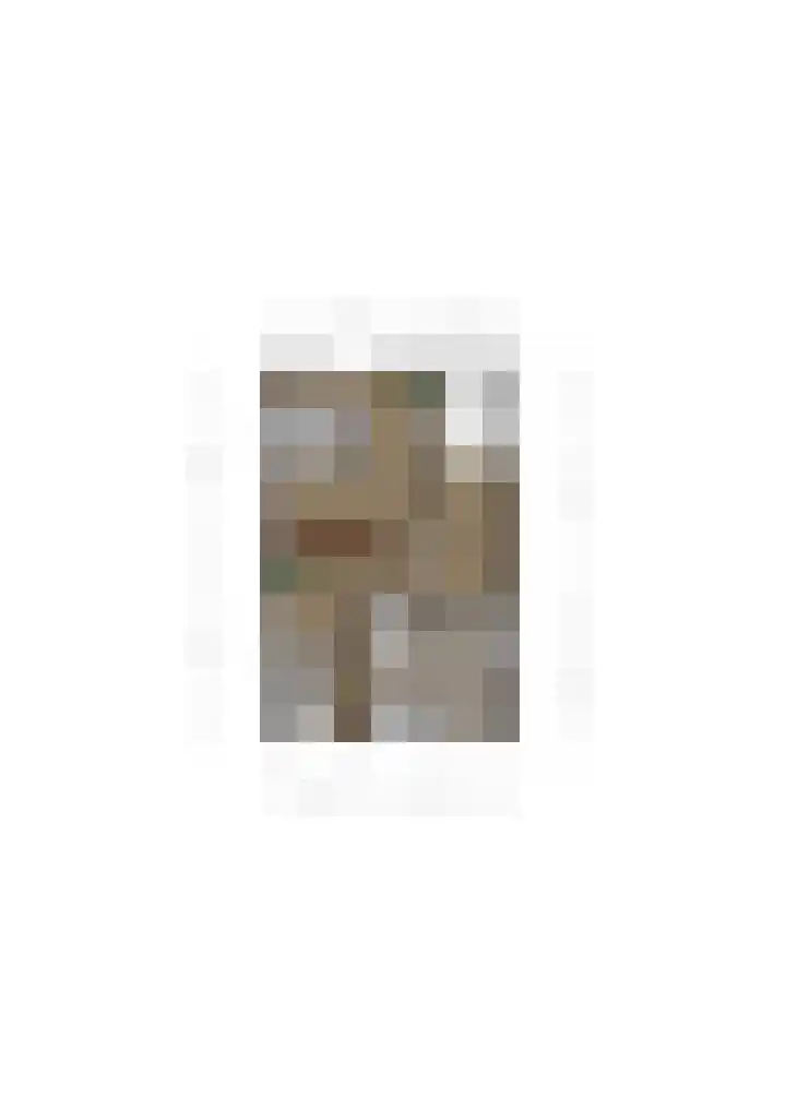 Nagelbeek 24 Schinnen thumbnail 61