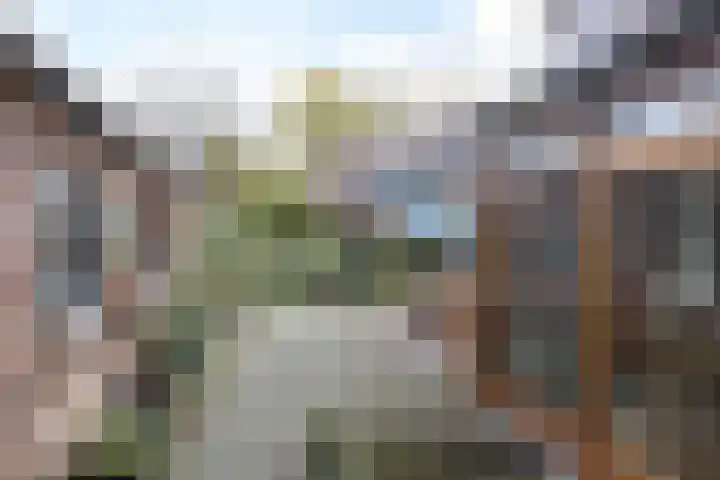 Nagelbeek 47 Schinnen thumbnail 30