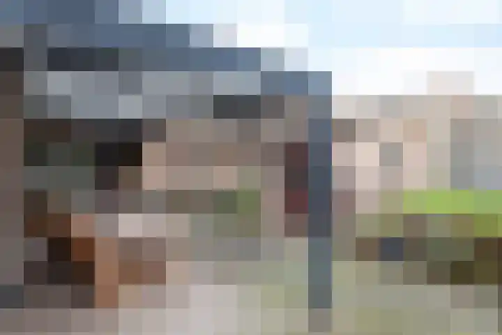 Nagelbeek 47 Schinnen thumbnail 31