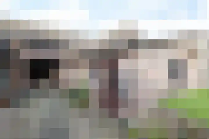 Nagelbeek 47 Schinnen thumbnail 33