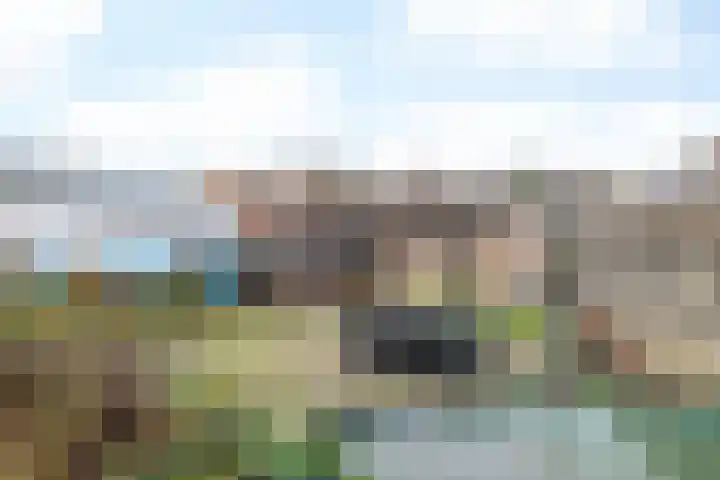 Nagelbeek 47 Schinnen thumbnail 34