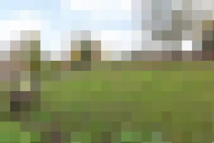 Nagelbeek 47 Schinnen thumbnail 36