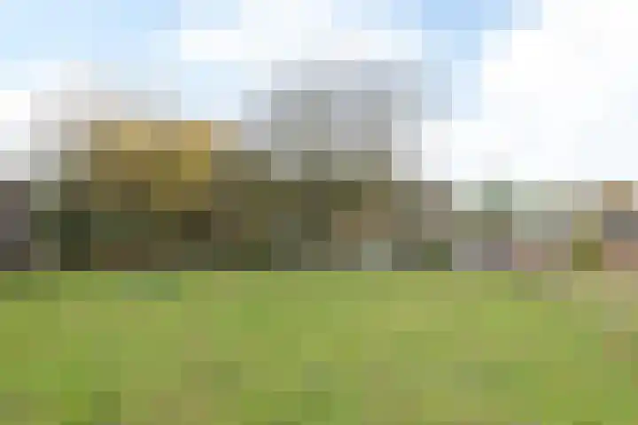 Nagelbeek 47 Schinnen thumbnail 37