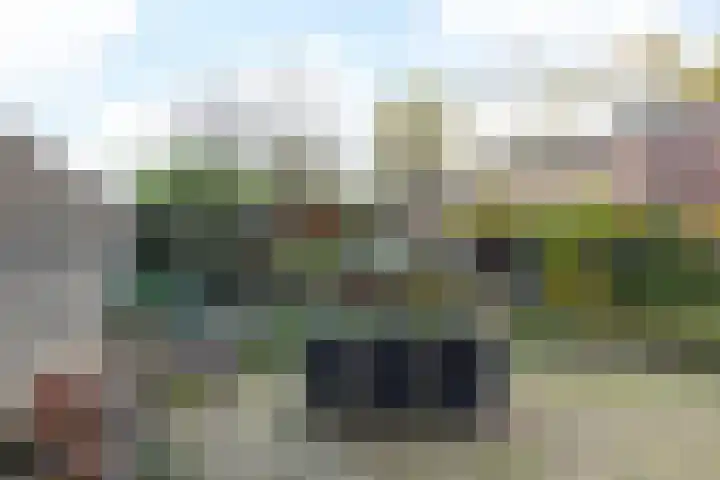 Nagelbeek 47 Schinnen thumbnail 38