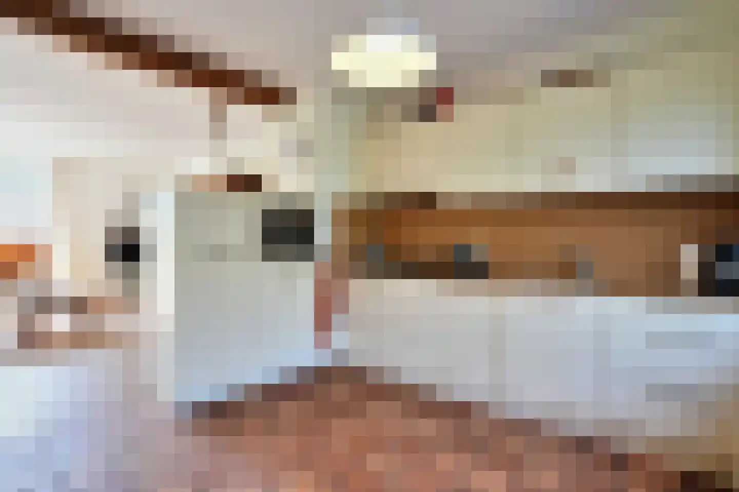 Nagelbeek 48 Schinnen thumbnail 11