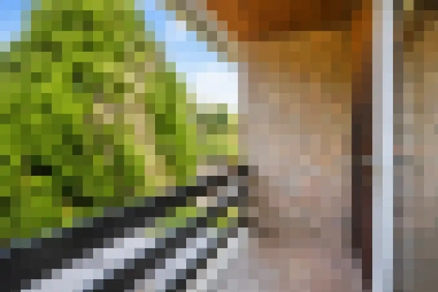 Nagelbeek 48 Schinnen thumbnail 18
