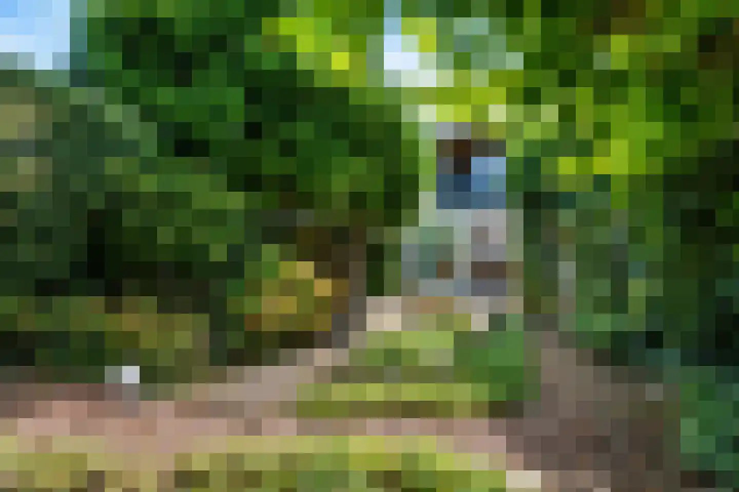 Nagelbeek 48 Schinnen thumbnail 27