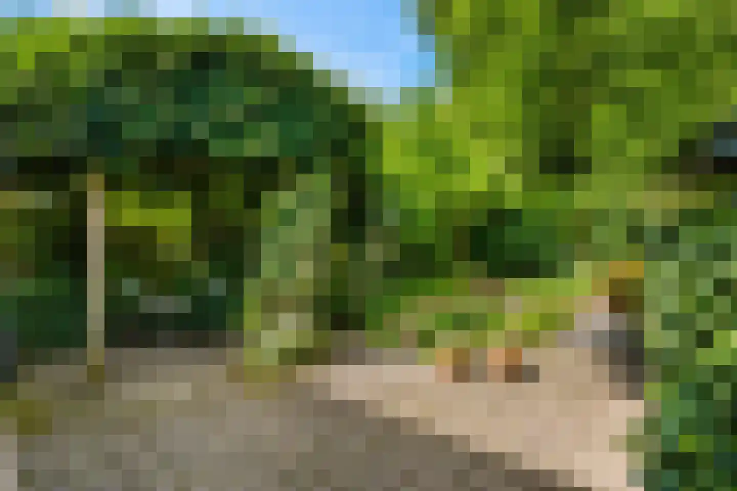 Nagelbeek 48 Schinnen thumbnail 29