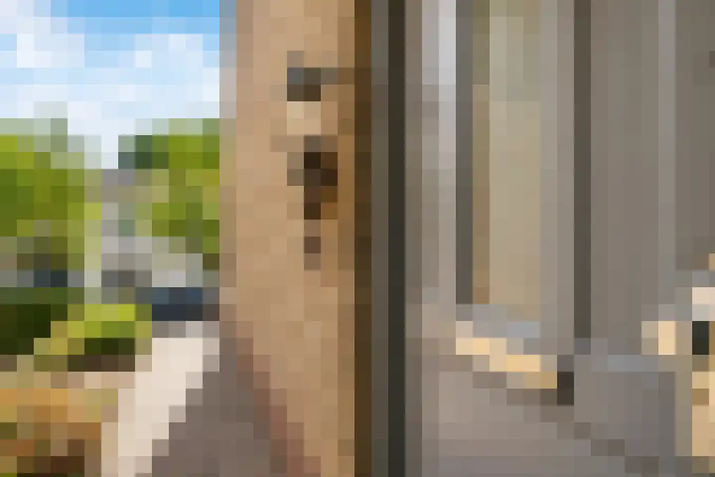 Nagelbeek 48 Schinnen thumbnail 30