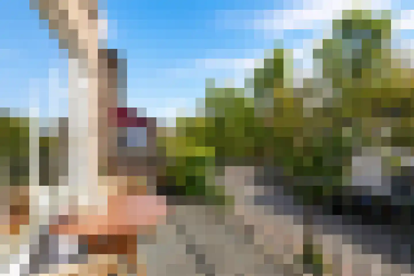 Nagelbeek 48 Schinnen thumbnail 34