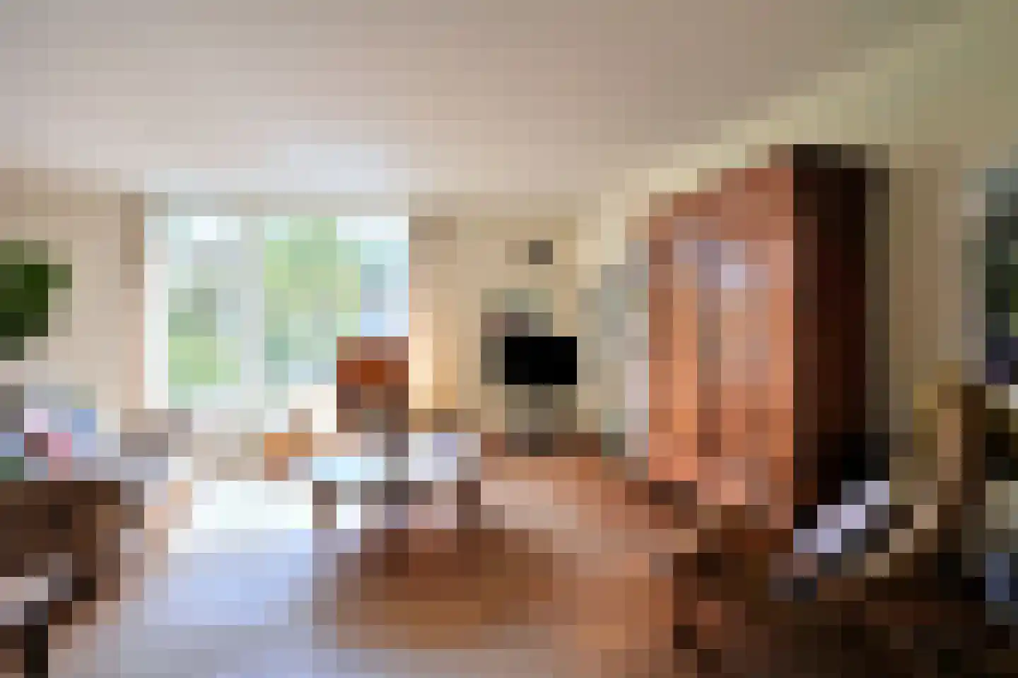 Nagelbeek 48 Schinnen thumbnail 5