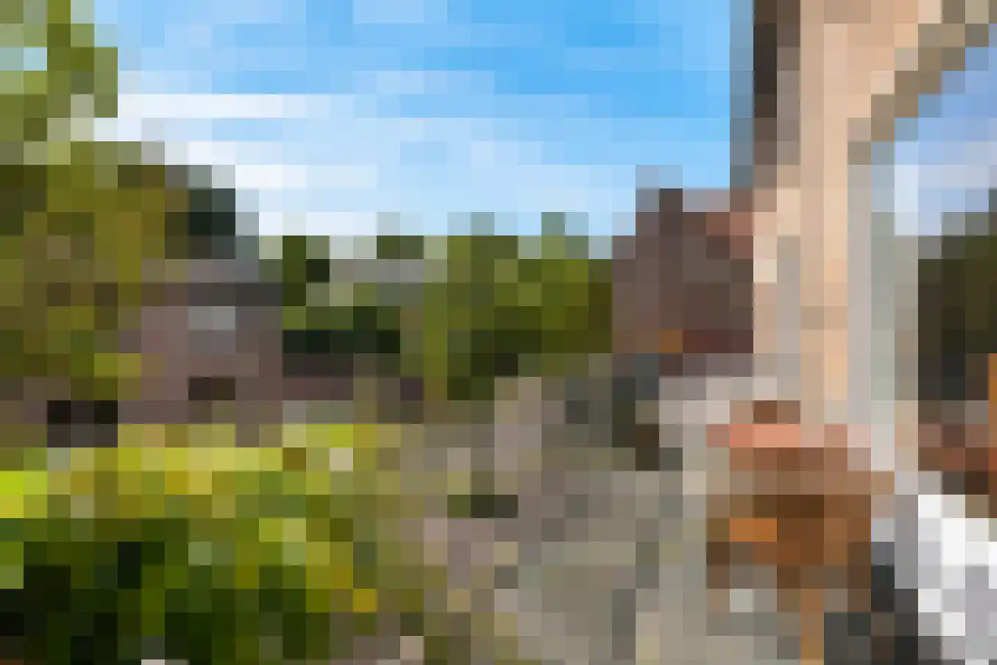 Nagelbeek 48 Schinnen thumbnail 8