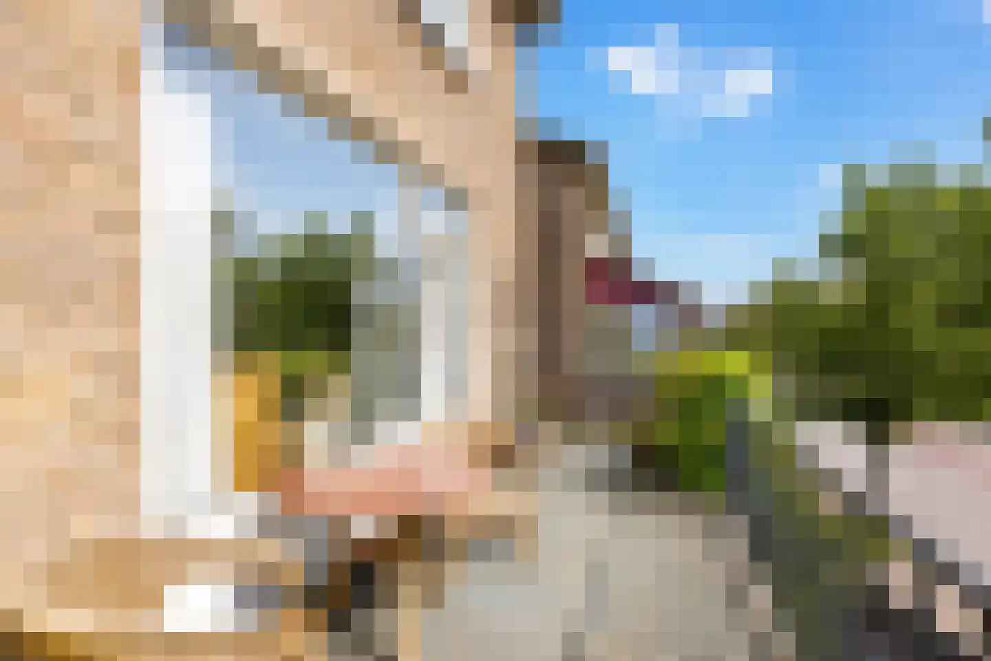 Nagelbeek 48 Schinnen thumbnail 9