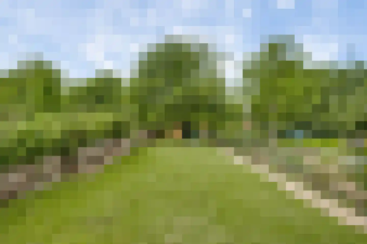 Nagelbeek 55 Schinnen thumbnail 22