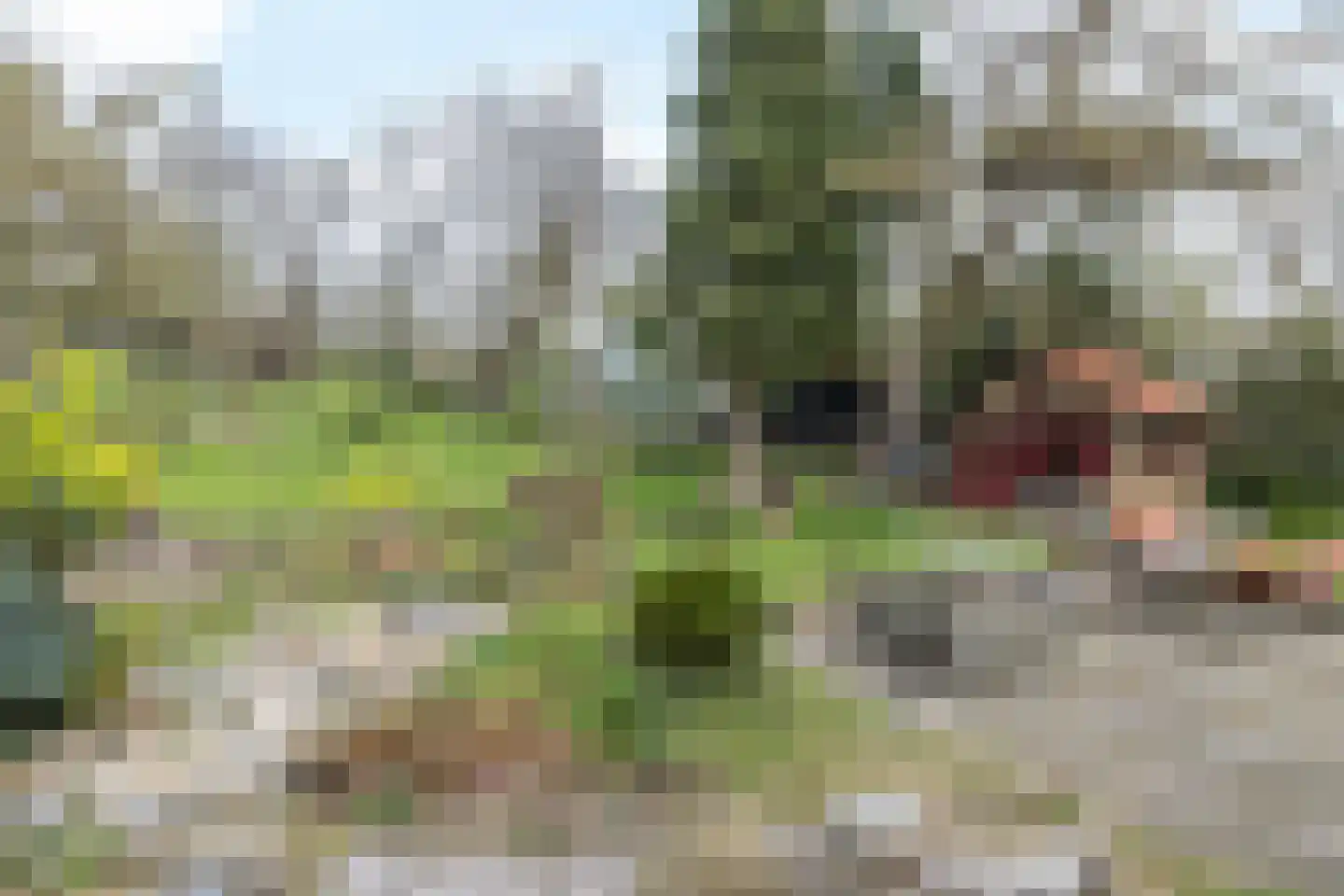 Nagelbeek 68 Schinnen thumbnail 29