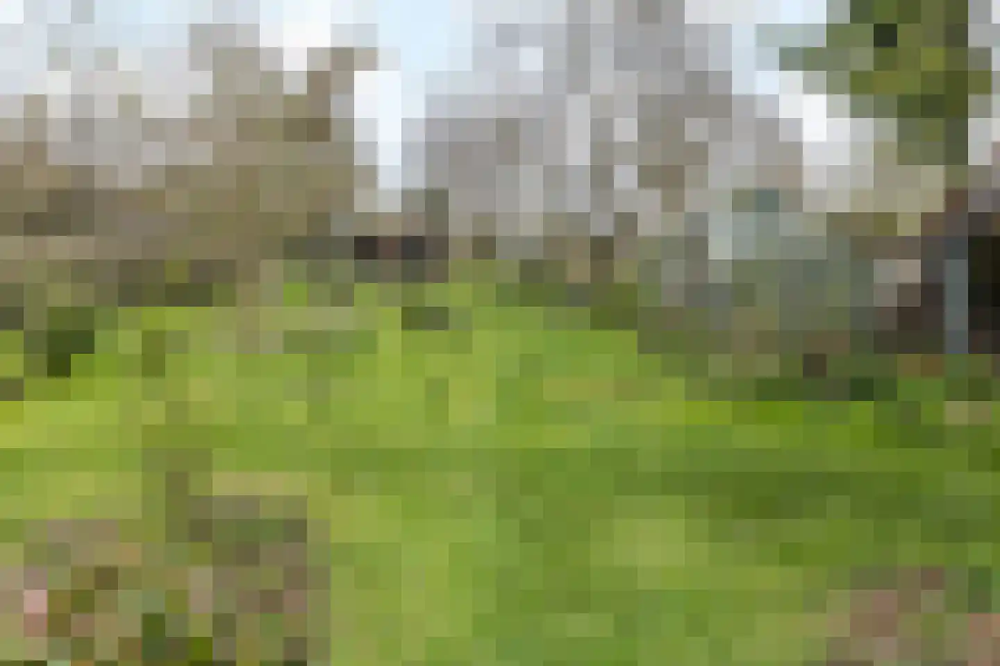 Nagelbeek 68 Schinnen thumbnail 30