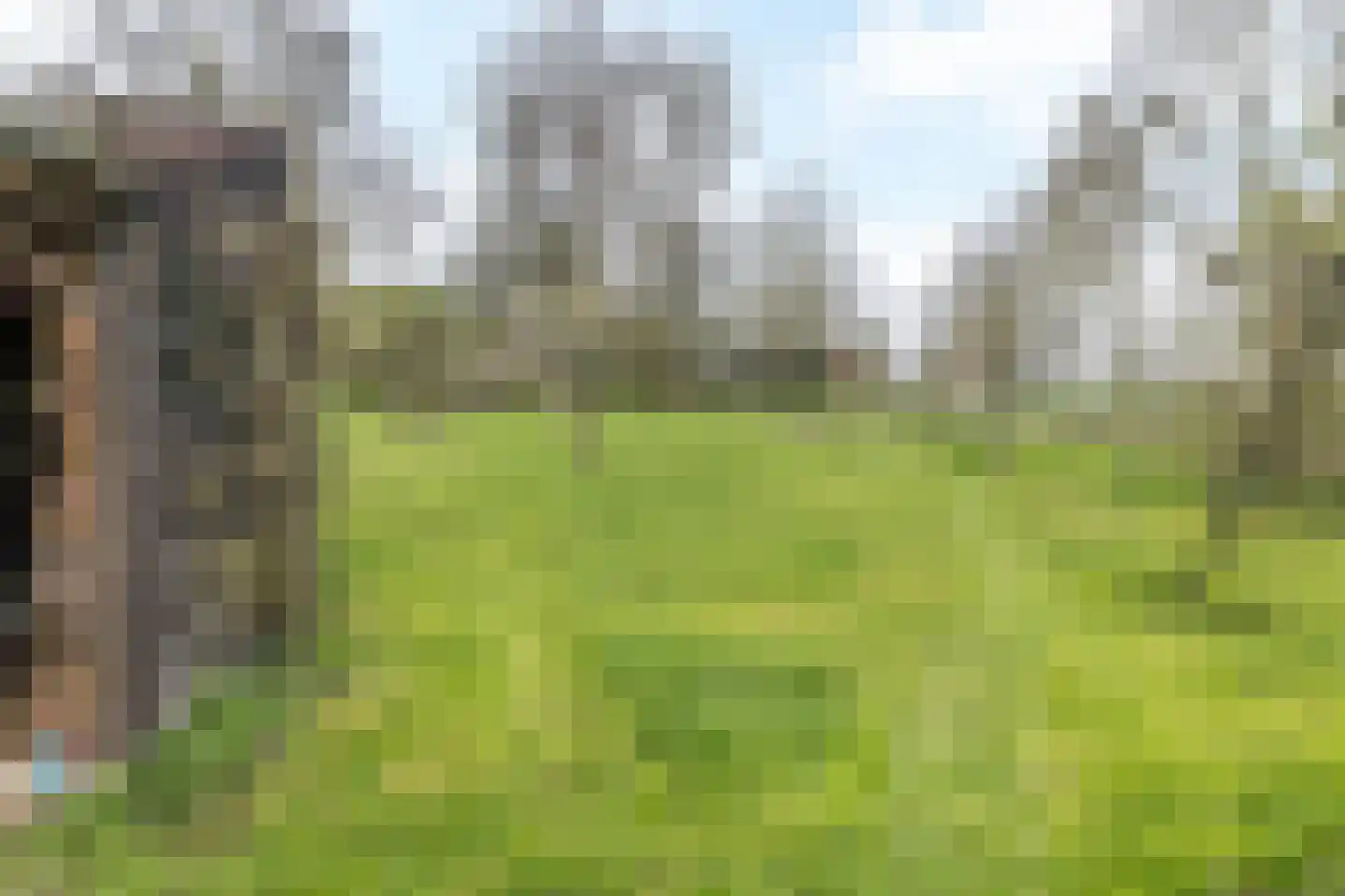 Nagelbeek 68 Schinnen thumbnail 31