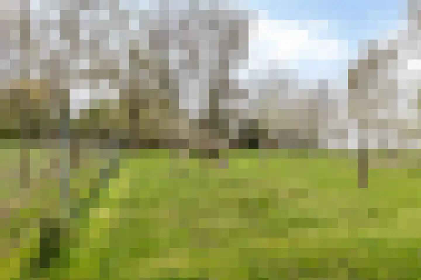 Nagelbeek 68 Schinnen thumbnail 32
