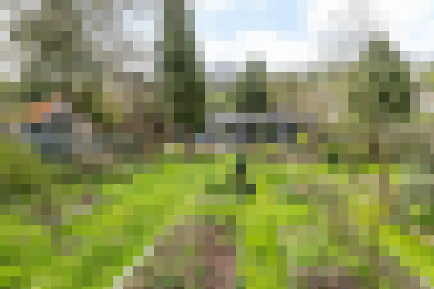 Nagelbeek 68 Schinnen thumbnail 33