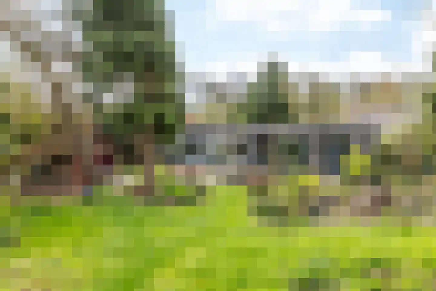 Nagelbeek 68 Schinnen thumbnail 36