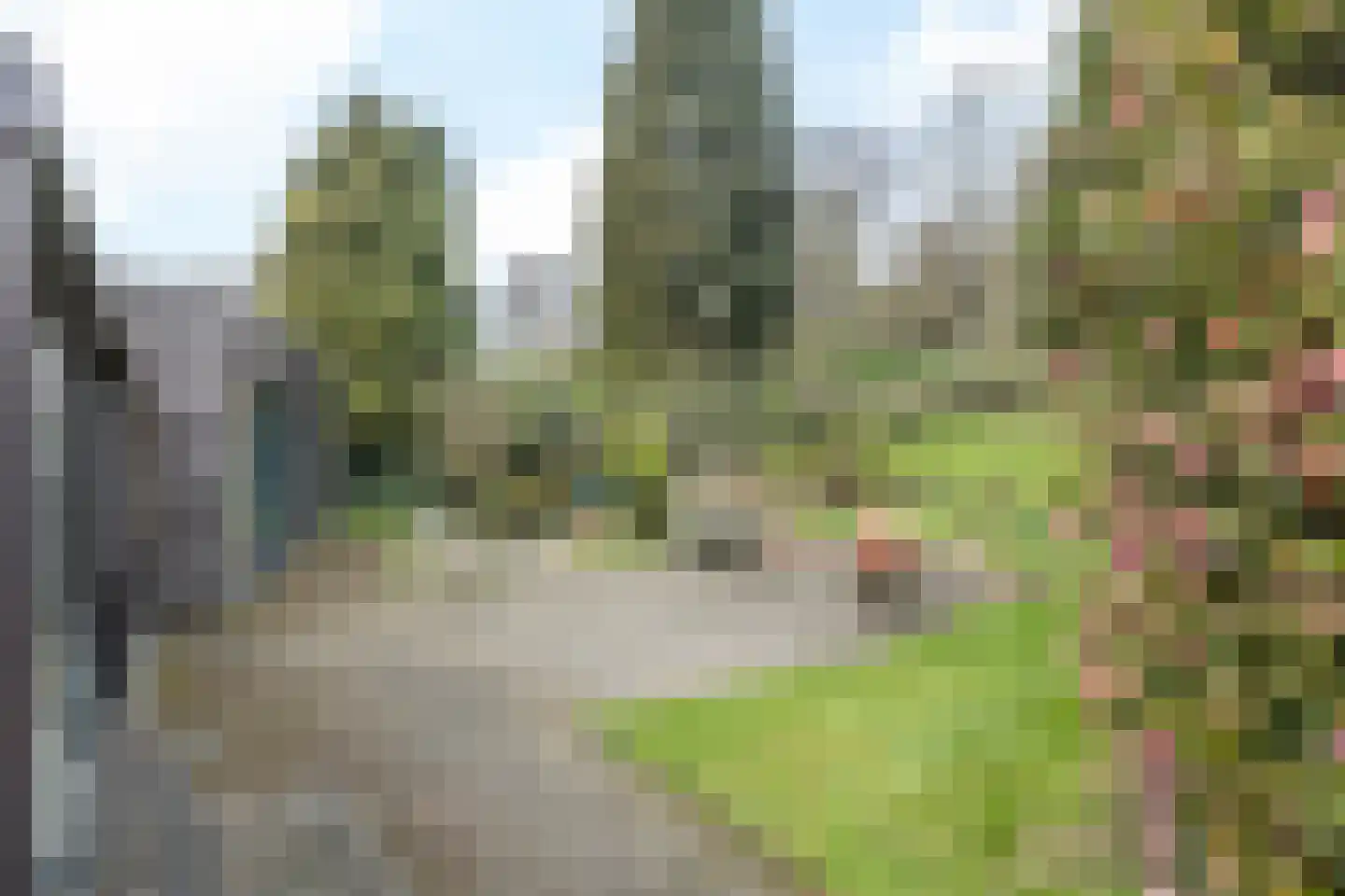 Nagelbeek 68 Schinnen thumbnail 40