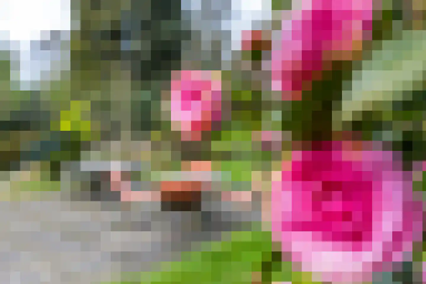 Nagelbeek 68 Schinnen thumbnail 41