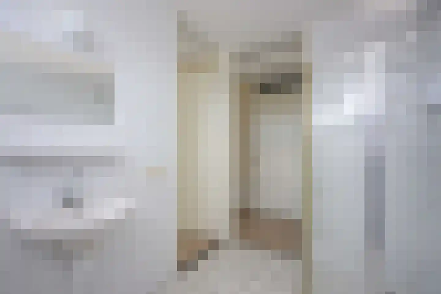 Nagelerstraat 110 Emmeloord thumbnail 22