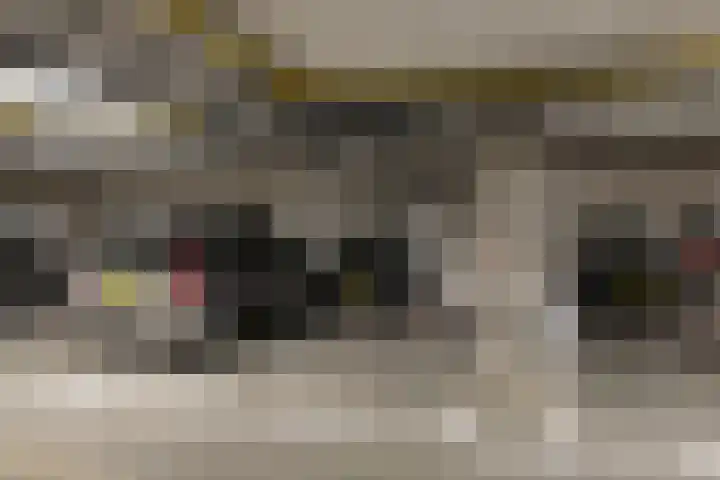 Nagelerstraat 52 Emmeloord thumbnail 28