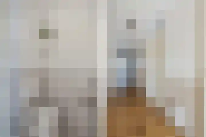 Nagelerstraat 52 Emmeloord thumbnail 6