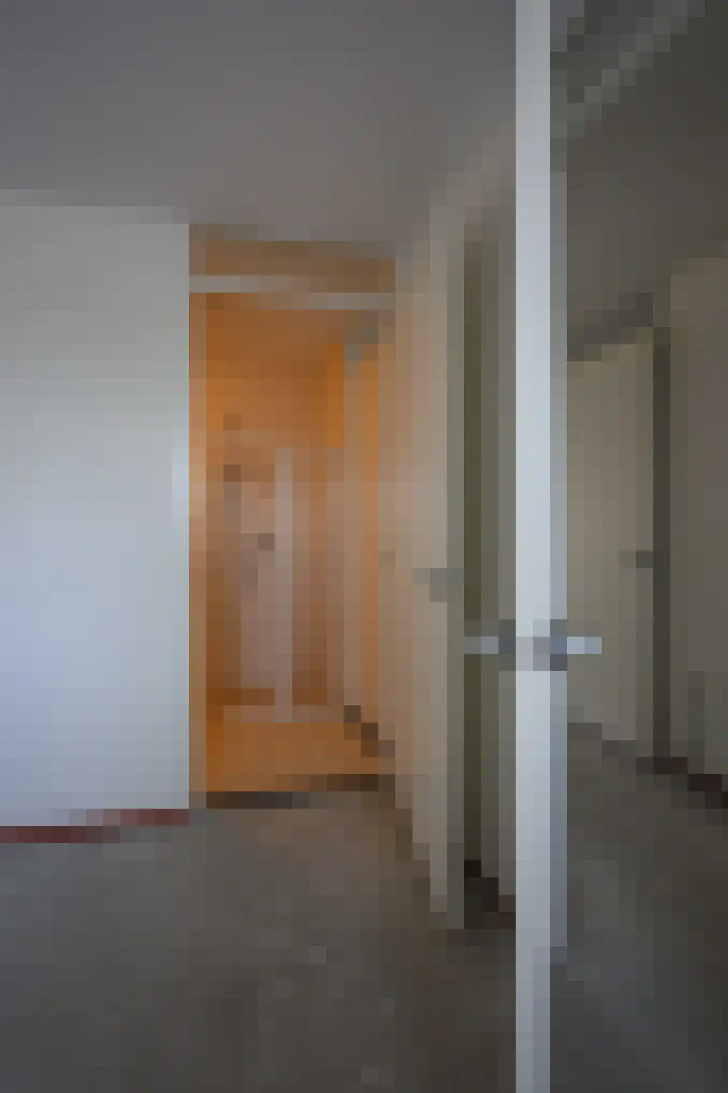 Nagelerstraat 66 Emmeloord thumbnail 17