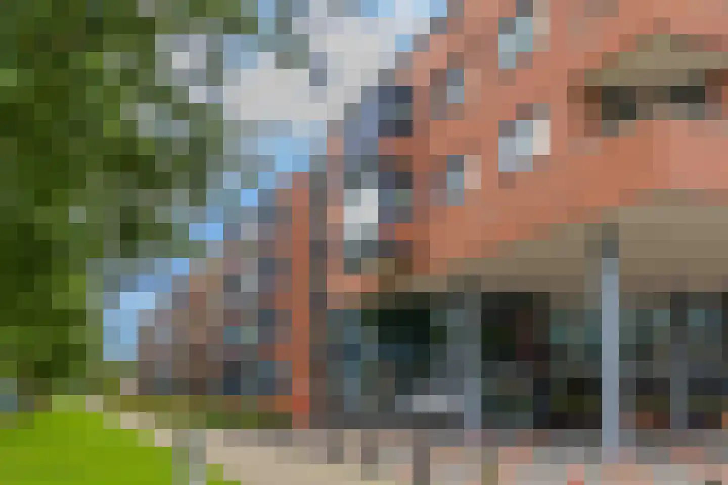 Nagelerstraat 66 Emmeloord thumbnail 36