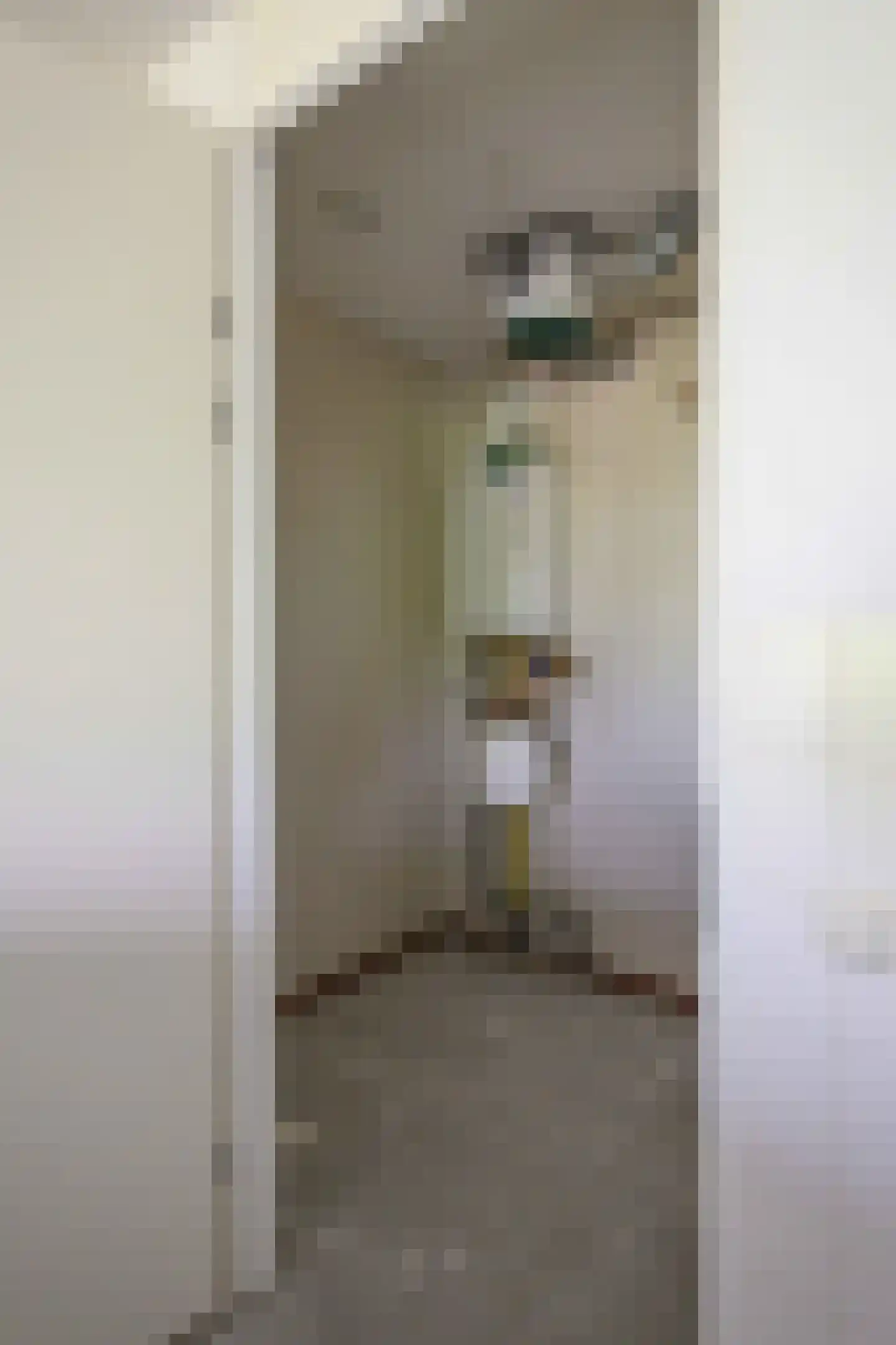 Nagelerstraat 74 Emmeloord thumbnail 30