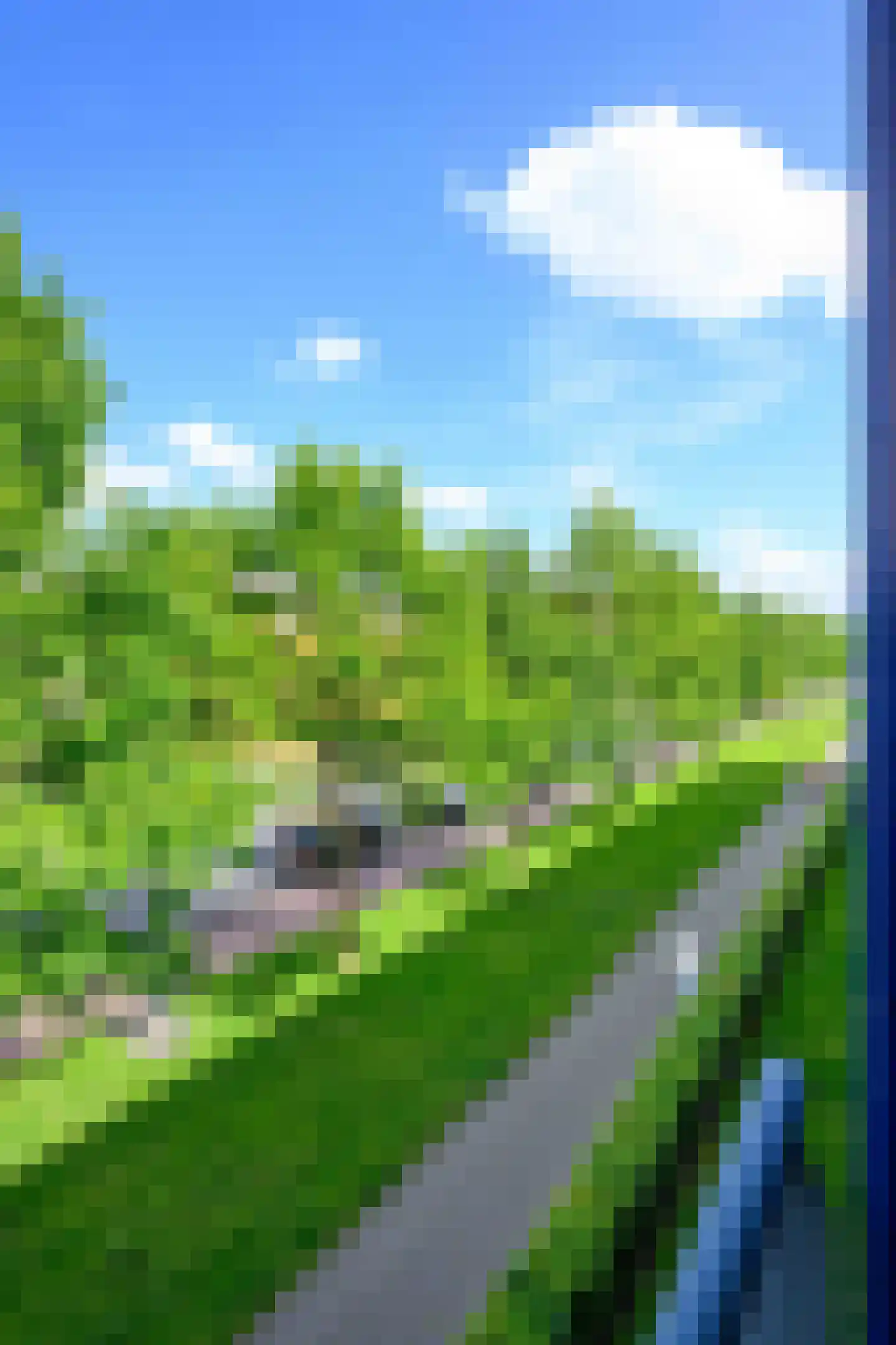 Nagelerstraat 74 Emmeloord thumbnail 32